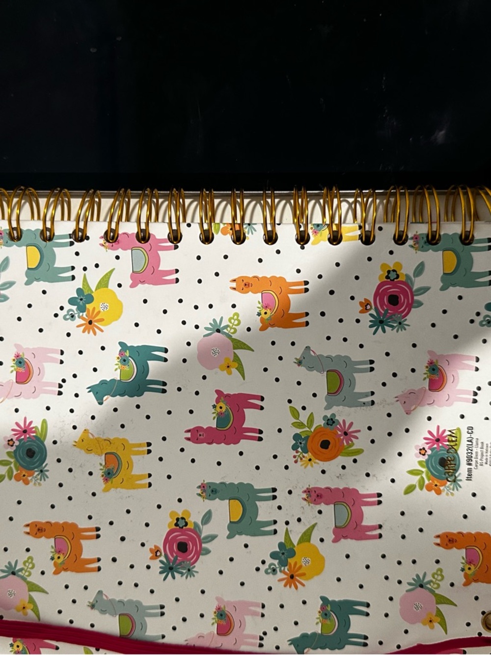 Carpe Diem Llama B5 Project Notebook Journal - Colorful Print - Picture 5 of 5